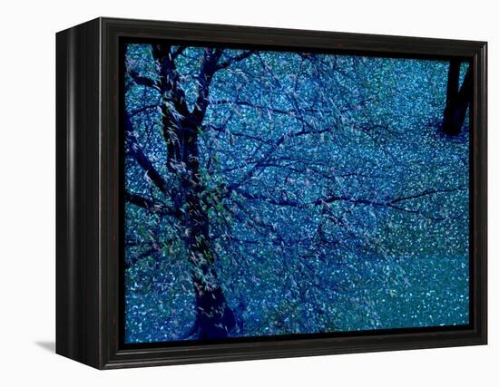 Autumn Tree in Blue, Green, and Purple-Robert Cattan-Framed Premier Image Canvas