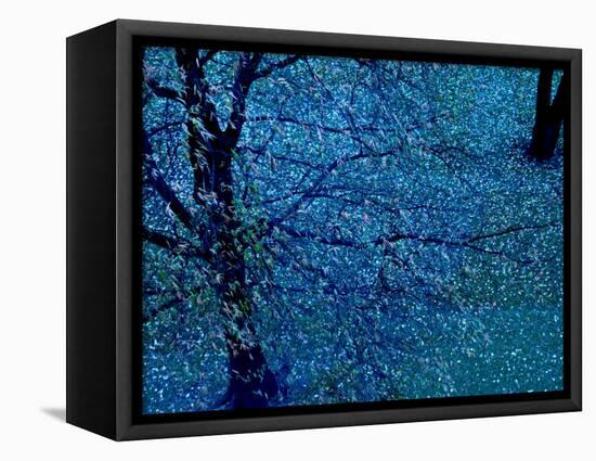 Autumn Tree in Blue, Green, and Purple-Robert Cattan-Framed Premier Image Canvas