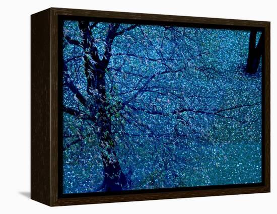 Autumn Tree in Blue, Green, and Purple-Robert Cattan-Framed Premier Image Canvas