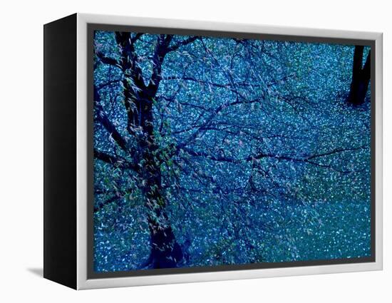 Autumn Tree in Blue, Green, and Purple-Robert Cattan-Framed Premier Image Canvas