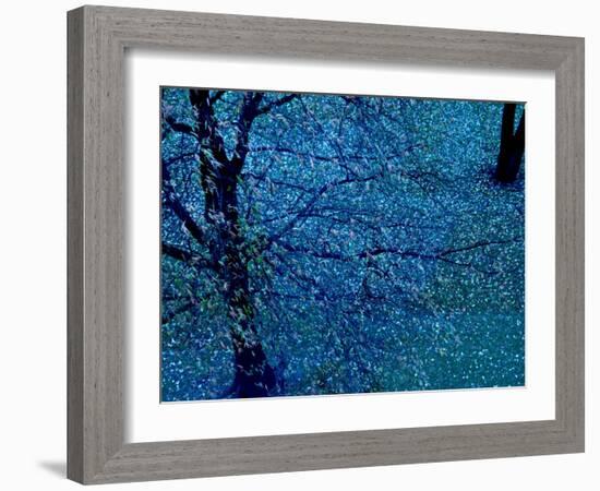 Autumn Tree in Blue, Green, and Purple-Robert Cattan-Framed Photographic Print