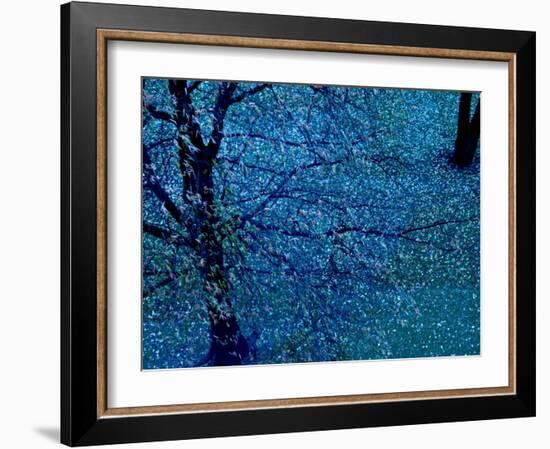 Autumn Tree in Blue, Green, and Purple-Robert Cattan-Framed Photographic Print