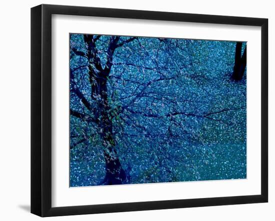 Autumn Tree in Blue, Green, and Purple-Robert Cattan-Framed Photographic Print