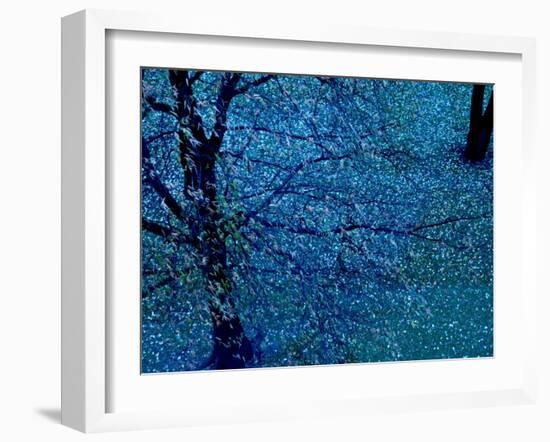 Autumn Tree in Blue, Green, and Purple-Robert Cattan-Framed Photographic Print