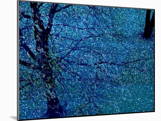 Autumn Tree in Blue, Green, and Purple-Robert Cattan-Mounted Photographic Print