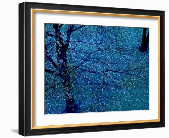 Autumn Tree in Blue, Green, and Purple-Robert Cattan-Framed Photographic Print