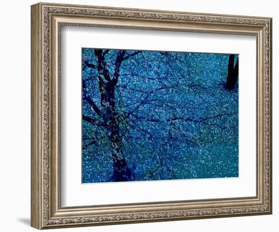 Autumn Tree in Blue, Green, and Purple-Robert Cattan-Framed Photographic Print