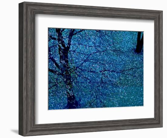 Autumn Tree in Blue, Green, and Purple-Robert Cattan-Framed Photographic Print