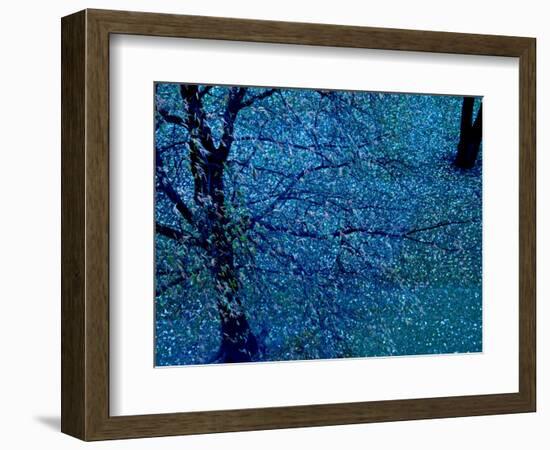 Autumn Tree in Blue, Green, and Purple-Robert Cattan-Framed Photographic Print