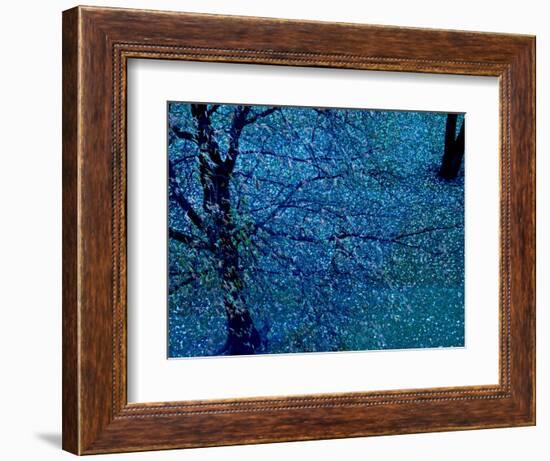 Autumn Tree in Blue, Green, and Purple-Robert Cattan-Framed Photographic Print