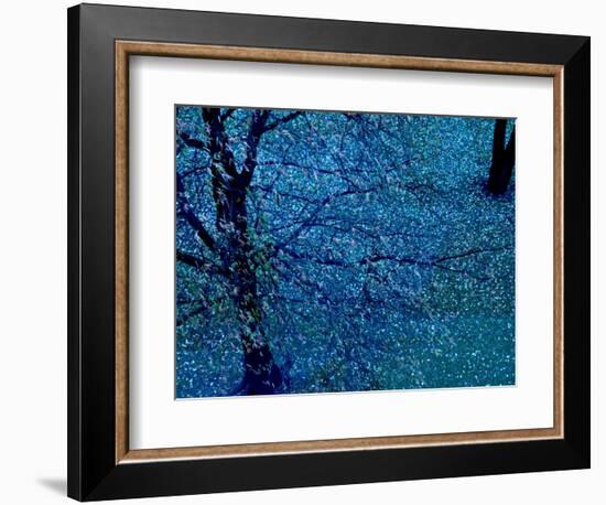 Autumn Tree in Blue, Green, and Purple-Robert Cattan-Framed Photographic Print