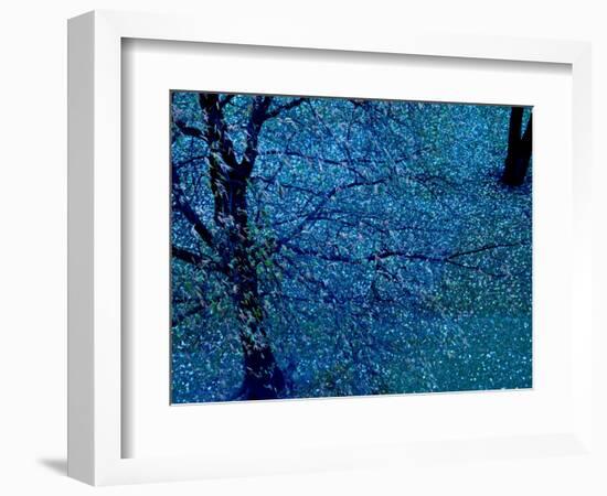 Autumn Tree in Blue, Green, and Purple-Robert Cattan-Framed Photographic Print