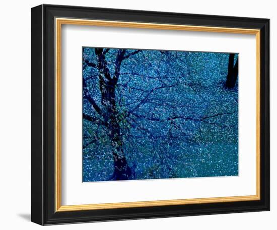 Autumn Tree in Blue, Green, and Purple-Robert Cattan-Framed Photographic Print