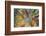 Autumn Tree Leaves - Instagram-SHS Photography-Framed Photographic Print