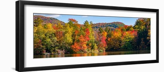 Autumn tree reflected in a pond, Sally's Pond, West Bolton, Quebec, Canada-null-Framed Photographic Print