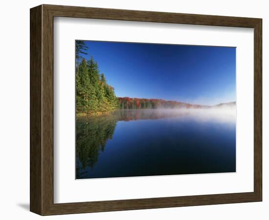 Autumn Trees, Adams Reservoir, Woodford State Park, Vermont, USA-Adam Jones-Framed Photographic Print