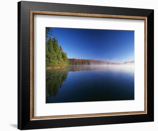 Autumn Trees, Adams Reservoir, Woodford State Park, Vermont, USA-Adam Jones-Framed Photographic Print