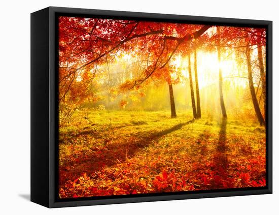 Autumn Trees and Leaves-Subbotina Anna-Framed Premier Image Canvas