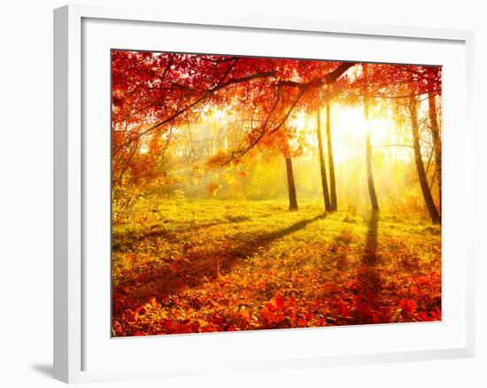 Autumn Trees and Leaves-Subbotina Anna-Framed Photographic Print