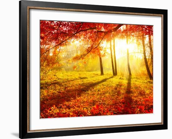 Autumn Trees and Leaves-Subbotina Anna-Framed Photographic Print