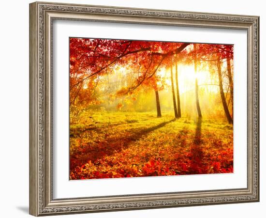 Autumn Trees and Leaves-Subbotina Anna-Framed Photographic Print