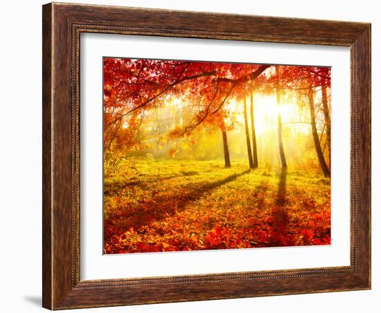 Autumn Trees and Leaves-Subbotina Anna-Framed Photographic Print