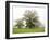 Autumn Trees at Jacob Smith Park, Knaresborough, North Yorkshire, Yorkshire, England, United Kingdo-Mark Sunderland-Framed Photographic Print