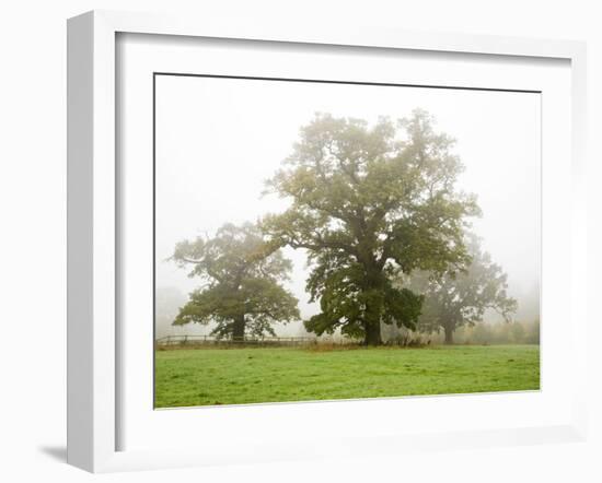 Autumn Trees at Jacob Smith Park, Knaresborough, North Yorkshire, Yorkshire, England, United Kingdo-Mark Sunderland-Framed Photographic Print