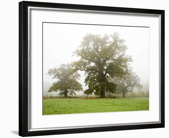 Autumn Trees at Jacob Smith Park, Knaresborough, North Yorkshire, Yorkshire, England, United Kingdo-Mark Sunderland-Framed Photographic Print