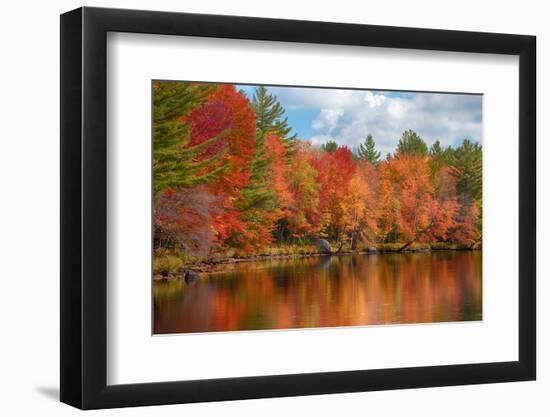 Autumn trees at riverbank, Oswegatchie River, Adirondack Mountains State Park, New York State, USA-null-Framed Photographic Print