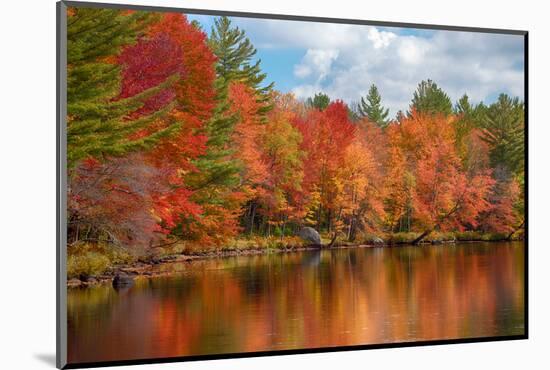 Autumn trees at riverbank, Oswegatchie River, Adirondack Mountains State Park, New York State, USA-null-Mounted Photographic Print