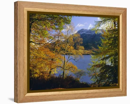 Autumn Trees at Ullswater, Lake District National Park, Cumbria, England, UK, Europe-Roy Rainford-Framed Premier Image Canvas