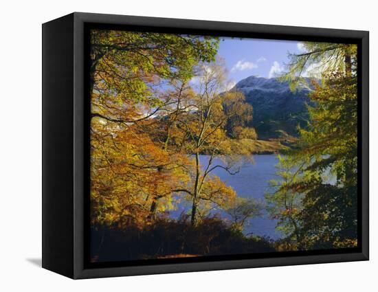 Autumn Trees at Ullswater, Lake District National Park, Cumbria, England, UK, Europe-Roy Rainford-Framed Premier Image Canvas