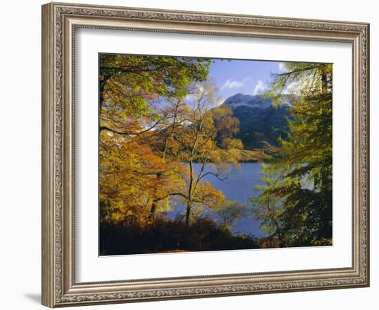 Autumn Trees at Ullswater, Lake District National Park, Cumbria, England, UK, Europe-Roy Rainford-Framed Photographic Print