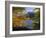 Autumn Trees at Ullswater, Lake District National Park, Cumbria, England, UK, Europe-Roy Rainford-Framed Photographic Print