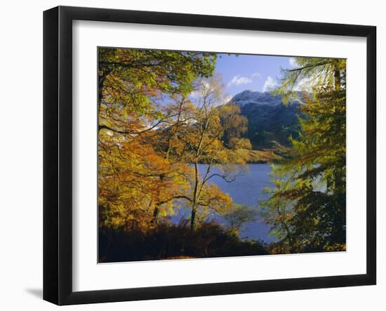 Autumn Trees at Ullswater, Lake District National Park, Cumbria, England, UK, Europe-Roy Rainford-Framed Photographic Print