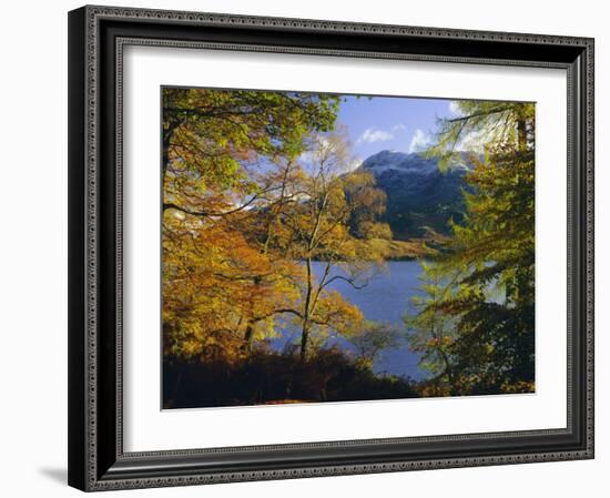 Autumn Trees at Ullswater, Lake District National Park, Cumbria, England, UK, Europe-Roy Rainford-Framed Photographic Print