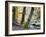 Autumn Trees by the Strid in Strid Wood, Bolton Abbey, Yorkshire, England, United Kingdom, Europe-Mark Sunderland-Framed Photographic Print