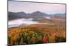 Autumn trees in a forest from Mount Van Hoevenberg, Adirondack Mountains State Park, New York St...-null-Mounted Photographic Print