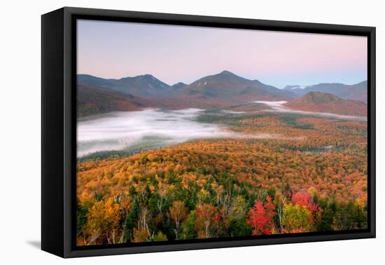 Autumn trees in a forest from Mount Van Hoevenberg, Adirondack Mountains State Park, New York St...-null-Framed Premier Image Canvas