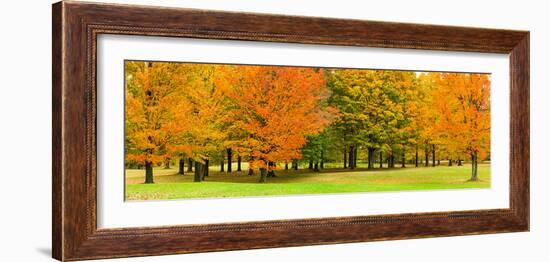 Autumn trees in a park, Chestnut Ridge County Park, Orchard Park, Erie County, New York State, USA-null-Framed Photographic Print