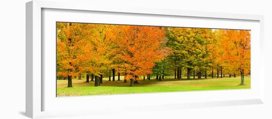 Autumn trees in a park, Chestnut Ridge County Park, Orchard Park, Erie County, New York State, USA-null-Framed Photographic Print