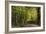 Autumn Trees in Hampstead Heath-Natalie Tepper-Framed Photographic Print