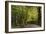 Autumn Trees in Hampstead Heath-Natalie Tepper-Framed Photographic Print