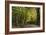 Autumn Trees in Hampstead Heath-Natalie Tepper-Framed Photographic Print