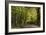 Autumn Trees in Hampstead Heath-Natalie Tepper-Framed Photographic Print