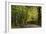 Autumn Trees in Hampstead Heath-Natalie Tepper-Framed Photographic Print