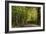 Autumn Trees in Hampstead Heath-Natalie Tepper-Framed Photographic Print