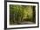 Autumn Trees in Hampstead Heath-Natalie Tepper-Framed Photographic Print