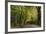 Autumn Trees in Hampstead Heath-Natalie Tepper-Framed Photographic Print